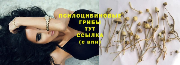 синтетический гашиш Верея